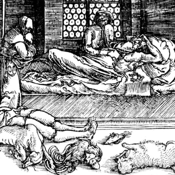 Pandemie moru byly jedním ze zásadních demografických faktorů ve středověku. (Ilustrační foto)