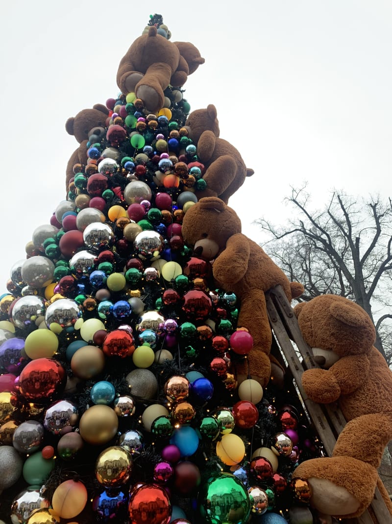 Kouzlo Vánoc pocítíte už při samotném vstupu do Vánočního domu. Jako první přiláká vaši pozornost osmimetrový vánoční stromek, který je celý osázený barevnými ozdobami a po kterém se vzhůru šplhají obrovští medvědi. 