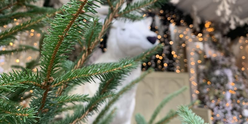 V okouzlujících prostorách zámečku Doubí na vás čeká nepřeberné množství vánočních ozdob, stromečků a také světýlek.
