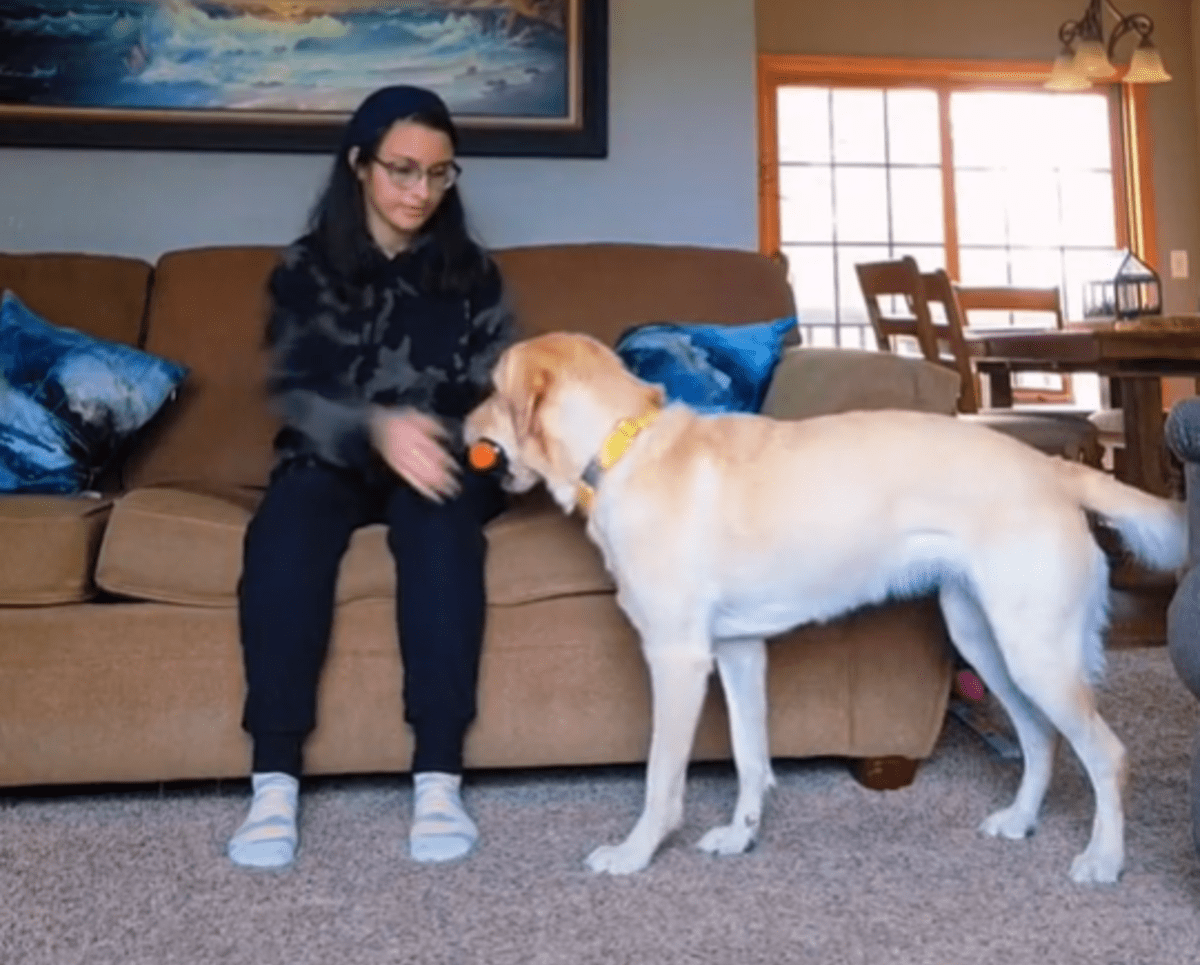 Abbey Karnes a její asistenční pes