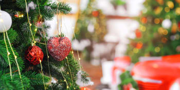 Stromeček je symbolem Vánoc teprve krátce. Církev proti němu měla výhrady