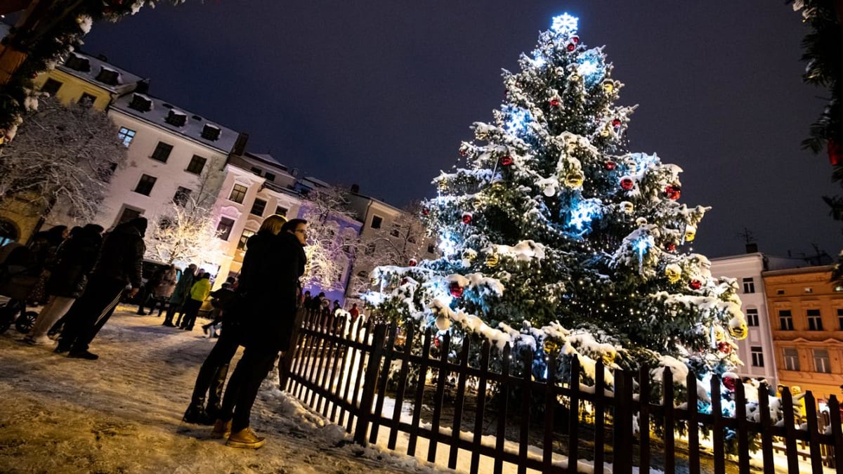 Jihlavské Masarykovo náměstí zdobí velký vánoční stromeček, betlém i stánky s ozdobami.