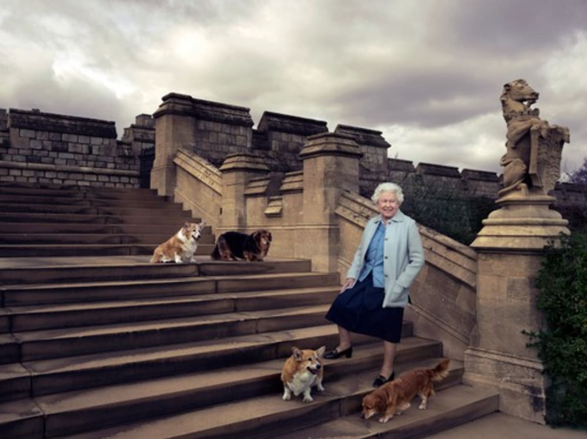 Britská královna Alžběta II. se svými psy. 