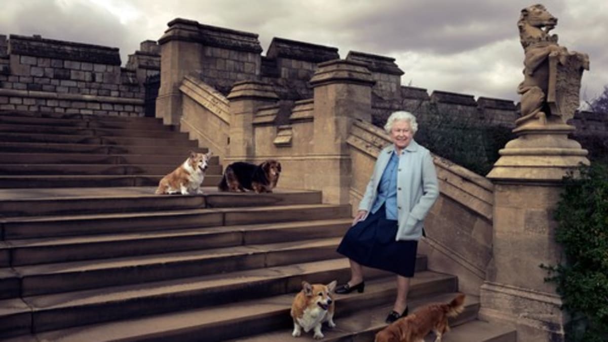Britská královna Alžběta II. se svými psy. 