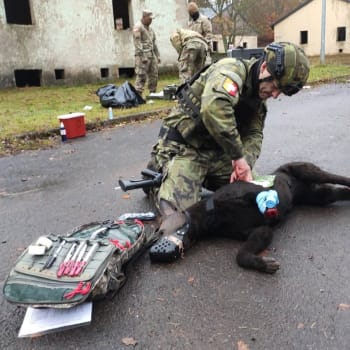 Čeští vojáci se učili, jak na bojišti zachránit své vojenské psy.