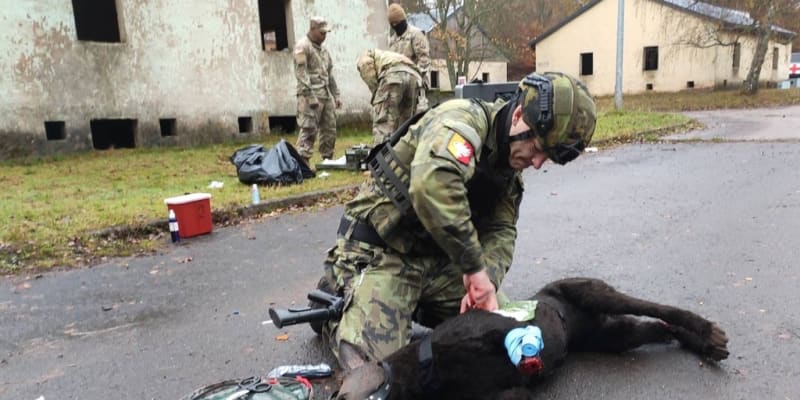 Čeští vojáci se učili, jak na bojišti zachránit své vojenské psy.