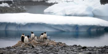 Jeden z největších ledovců v Antarktidě by se mohl brzy rozpadnout. Hrozí rychlé tání
