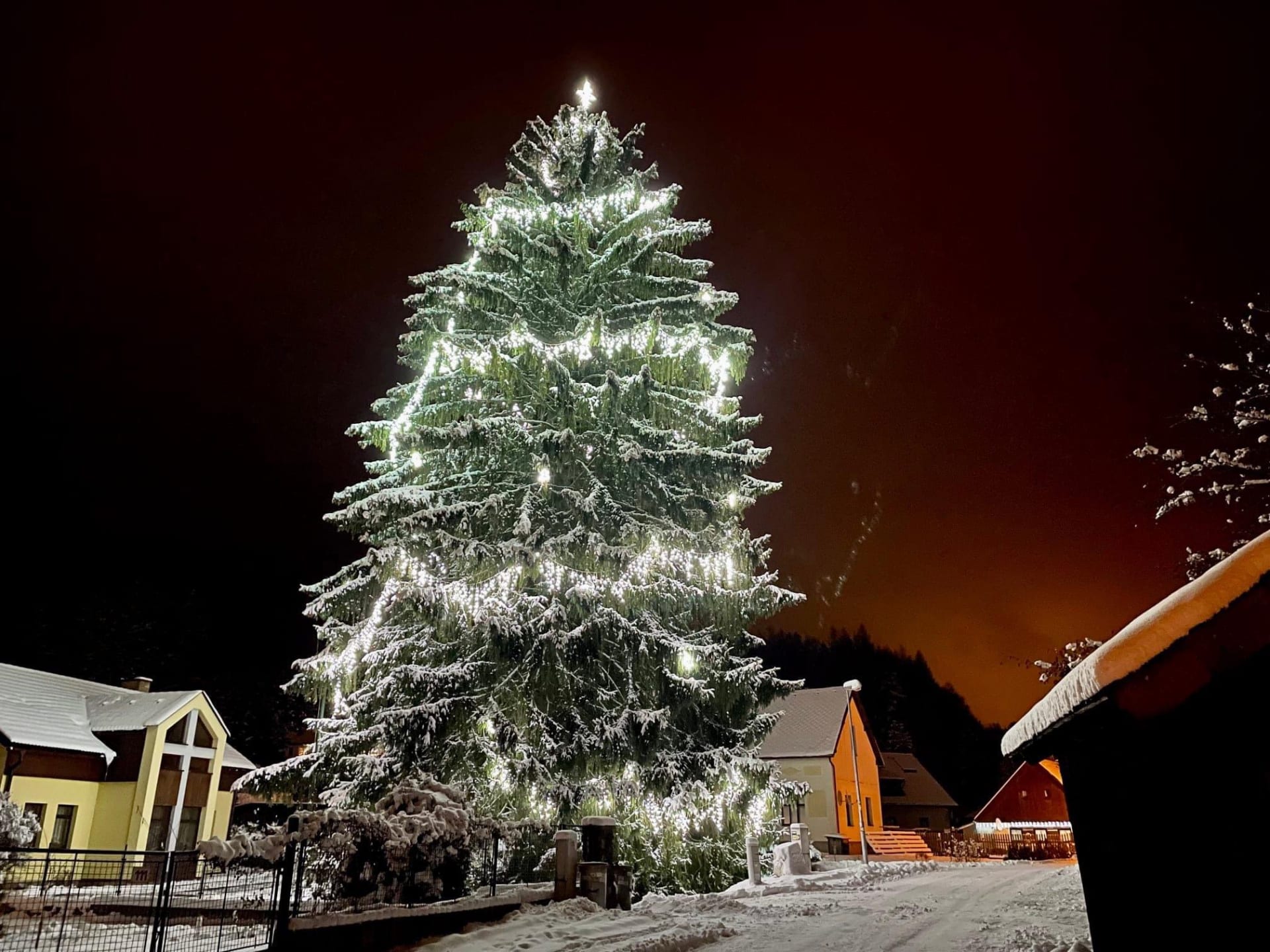 6. Vánoční strom v Mladkově.