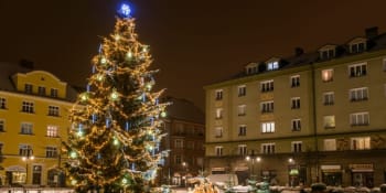 SOUTĚŽ o nejkrásnější vánoční strom v Česku: Který z nich vyhraje?