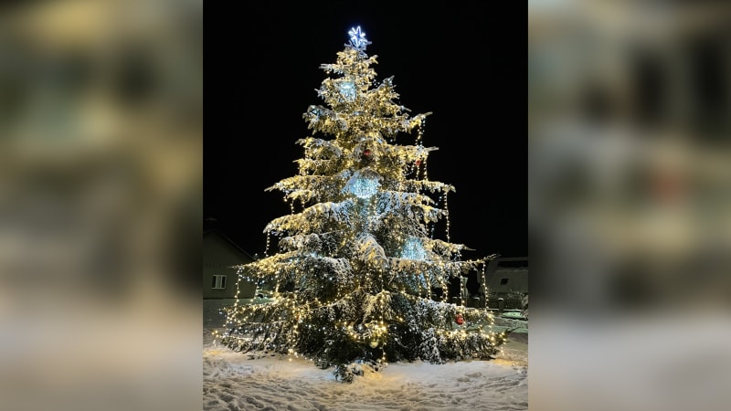 2. Vánoční strom v obci Lovečkovice.