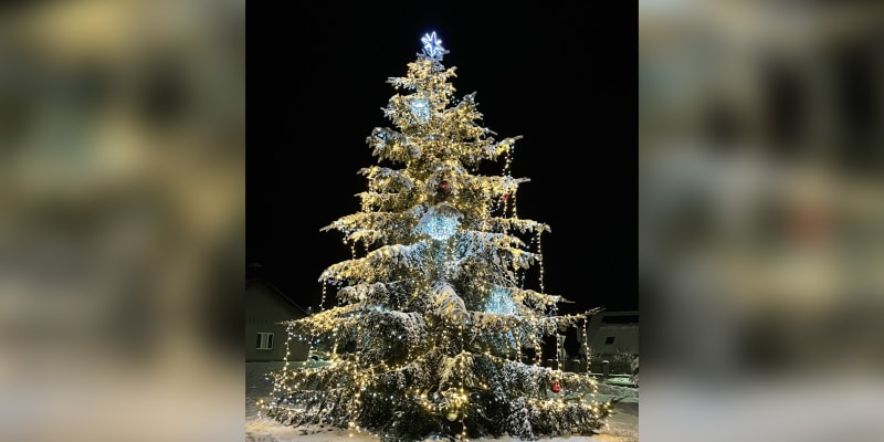 2. Vánoční strom v obci Lovečkovice.