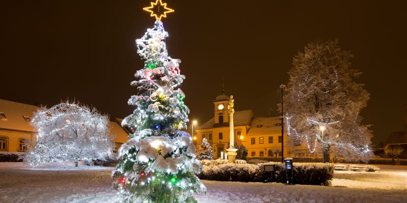 Vánoční strom v obci Solnice.