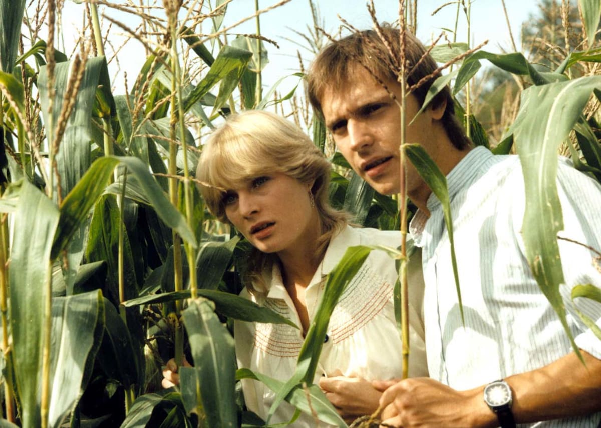 Komedie Slunce, seno, jahody měla premiéru v roce 1984. 