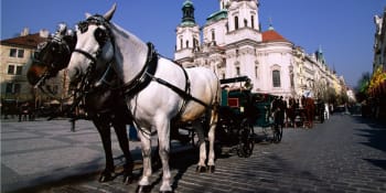 Pospíšil: Kočároví koně do Prahy nepatří. Skončí na jatkách, reaguje provozovatel povozů