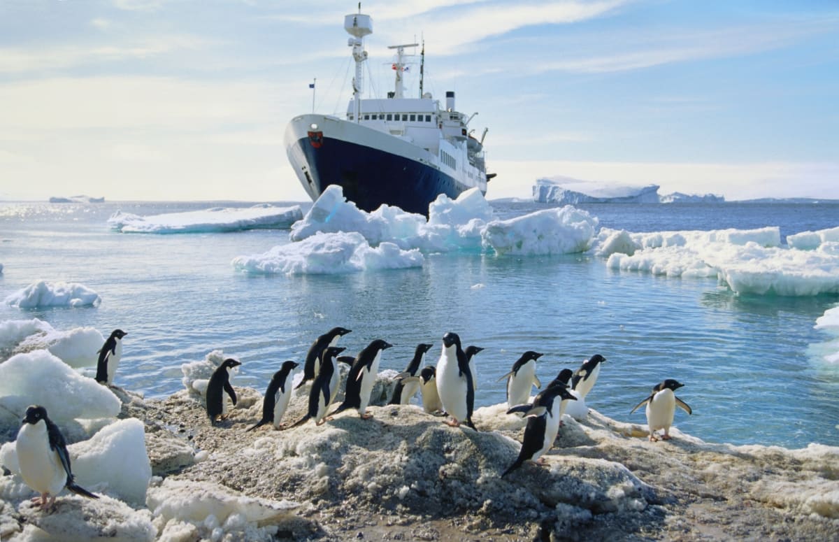Britští vědci se pochlubili, jakým způsobem slaví vánoční svátky na Antarktidě.