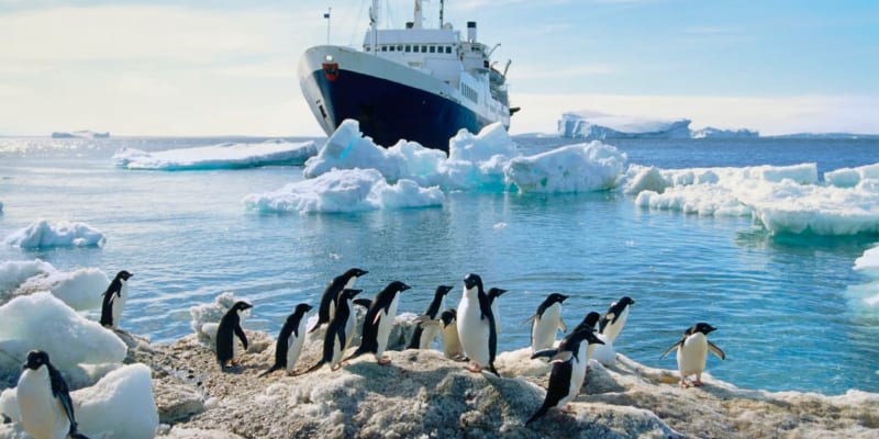 Vědecká expedice a tučňáci na Antarktidě