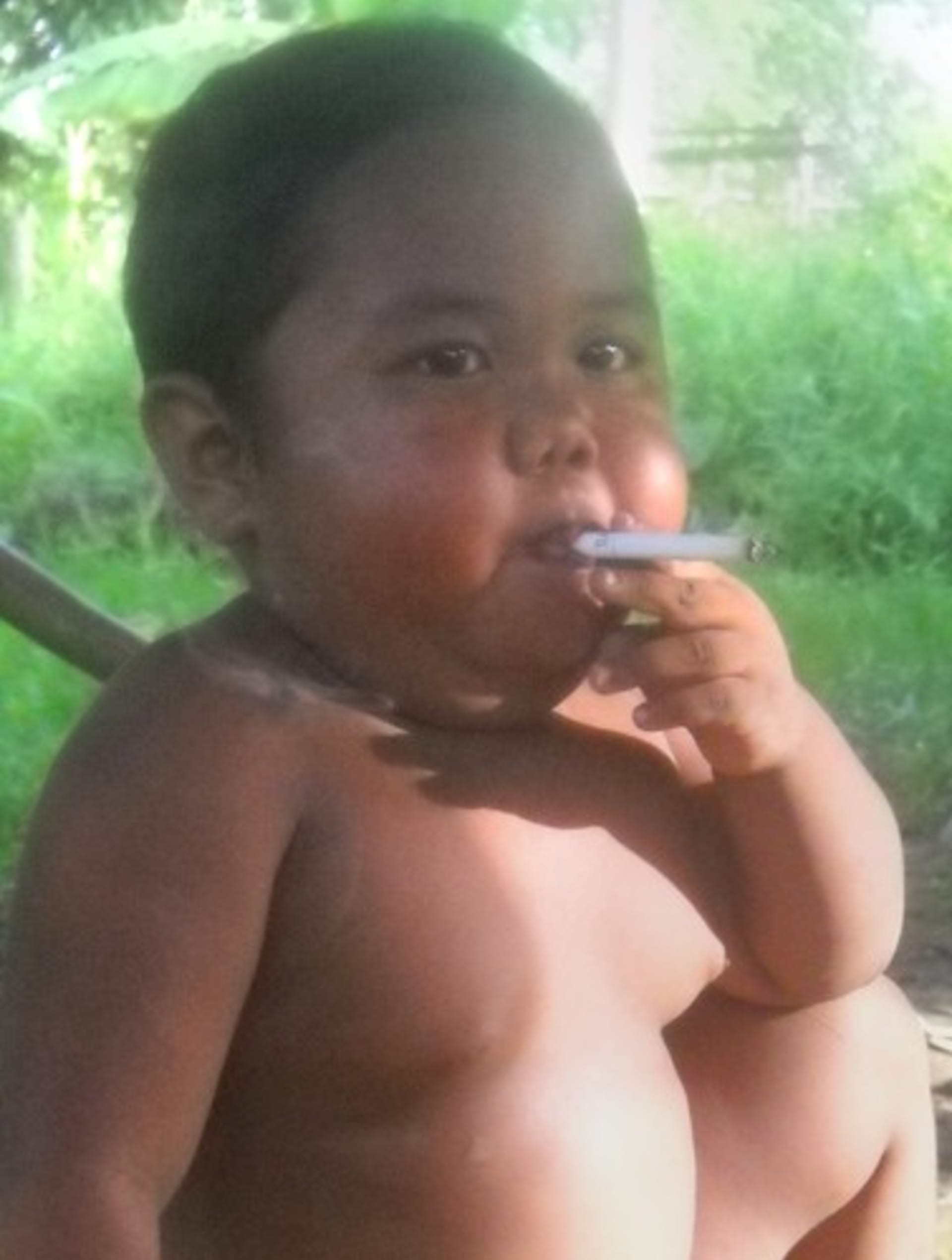 Závislost na cigaretách si Ardi vypěstoval už v 18 měsících života poté, co mu jeho otec dal první cigaretu. 