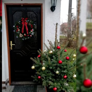 Žena na Královéhradecku kradla vánoční ozdoby.