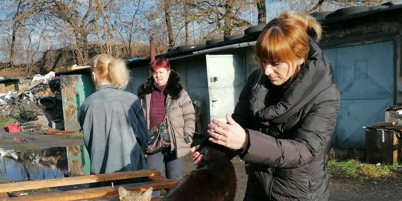 Čtenářky CNN Prima NEWS přivezly na silvestra paní Dagmar Palákové potravinovou pomoc i několik kontaktů a dalších nabídek, které zlepší život ženě bez domova i jejím zvířatům.