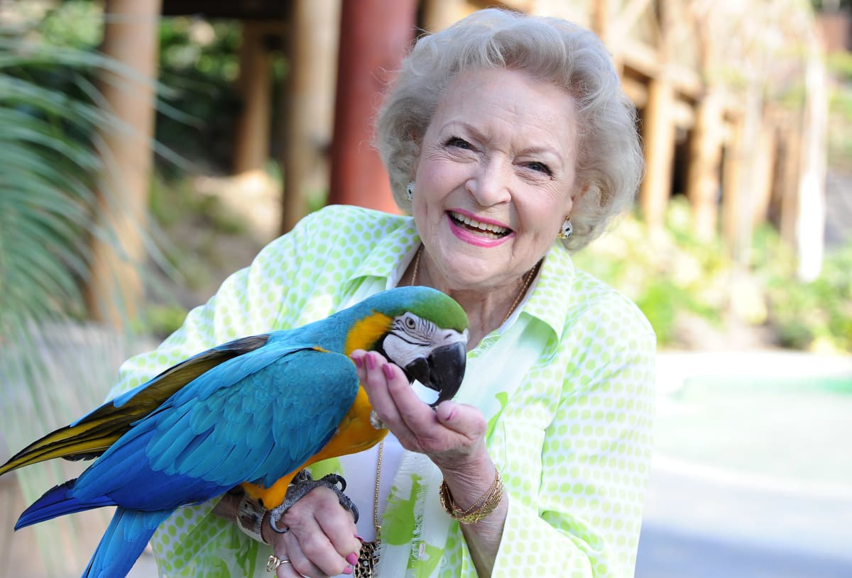 Betty White v the Greater Los Angeles Zoo Association's, 44. výročí at Los Angeles Zoo on June 14, 2014 in Los Angeles