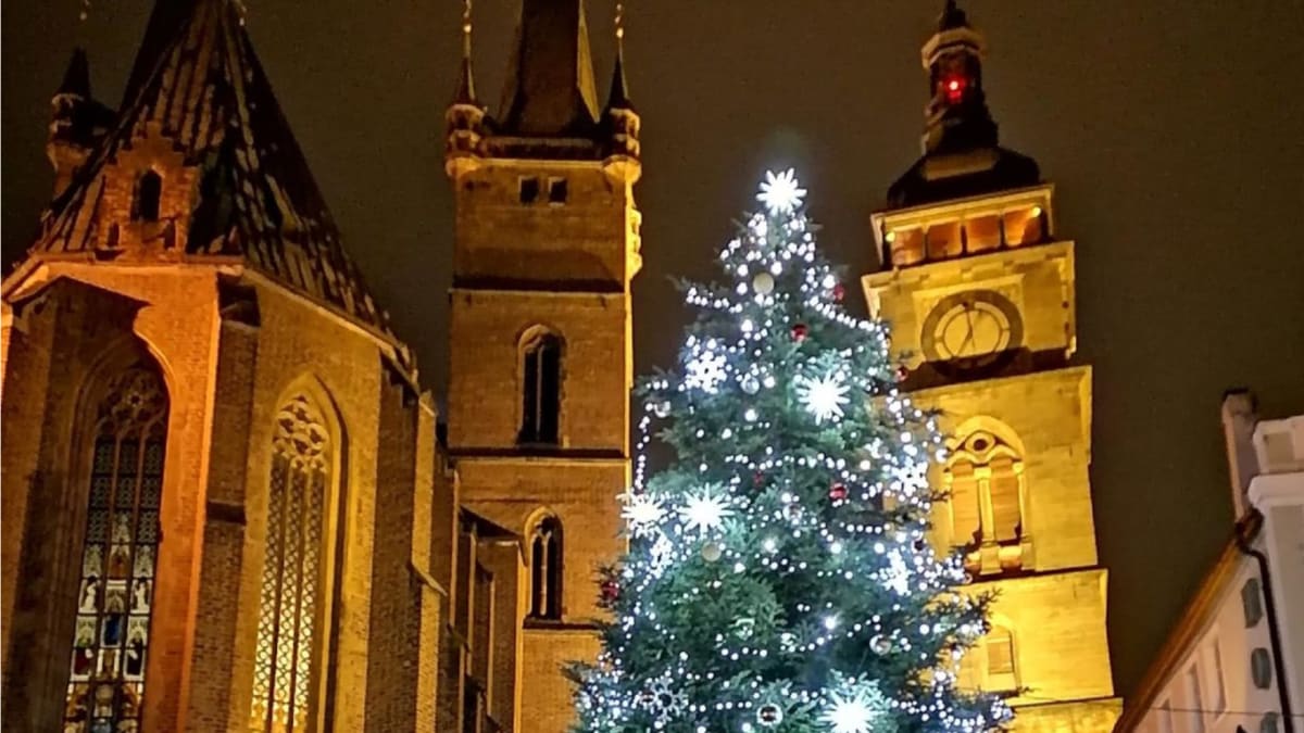 Vánoční strom na Velkém náměstí v Hradci Králové, z nějž někdo ukradl hvězdu.