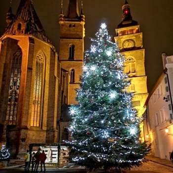 Vánoční strom na Velkém náměstí v Hradci Králové.