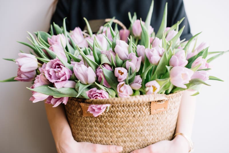 Udělejte radost řezanými tulipány.
