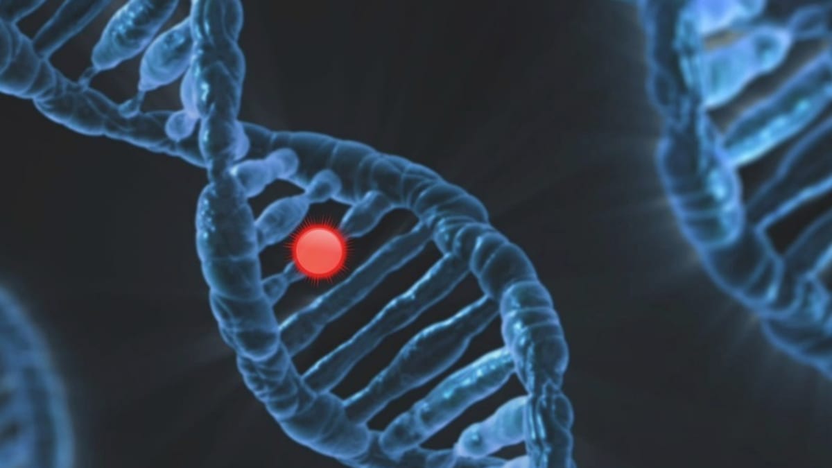 Vědci objevili gen, který snižuje závažnost onemocnění COVID-19 zhruba o pětinu. (Ilustrační foto)
