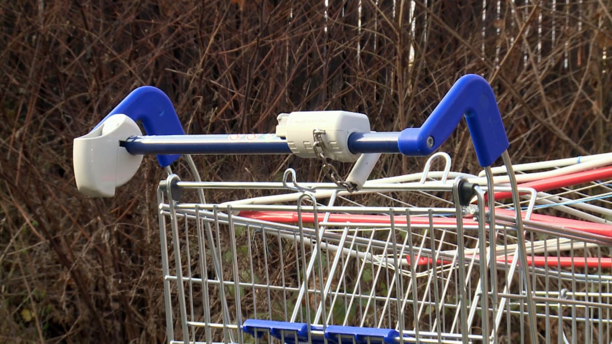 Češi ročně odcizí tisíce nákupních vozíků.