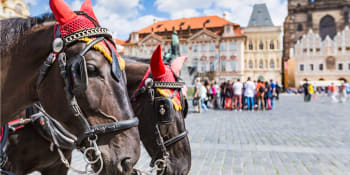 Zmizí koňské povozy z centra Prahy? Podle radních zvířata trpí, fiakristé nesouhlasí