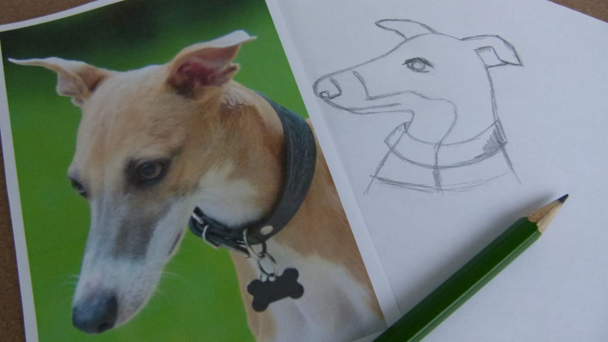 Nakreslete si jednoduchou kresbu psa