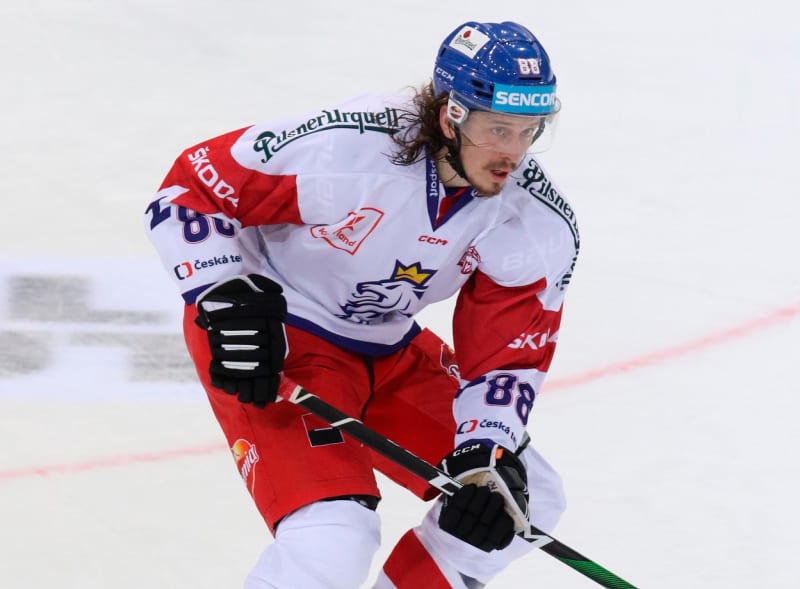 Obránce Libor Šulák (Vladivostok/KHL)