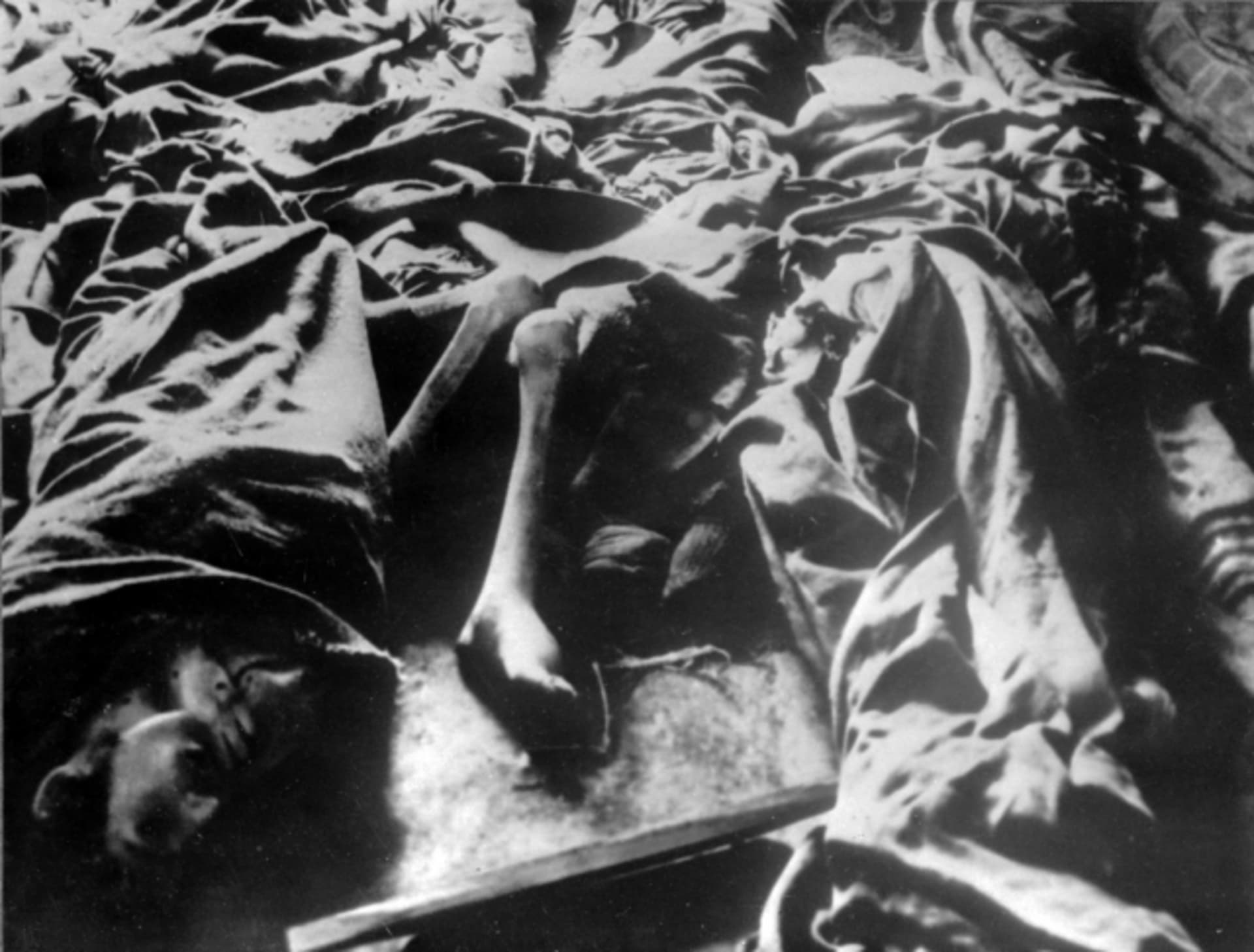 Oběti koncentračního a vyhlazovacího tábora světim-Birkenau