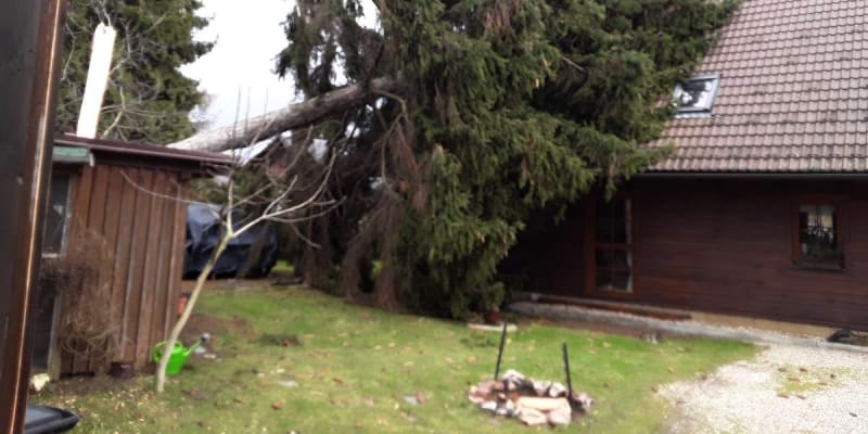 Strom spadl kvůli silnému větru na střechu domu v Libereckém kraji.