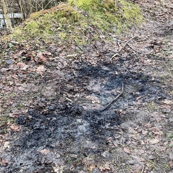 Místo, kde bylo v Rumburku nalezeno ohořelé torzo ženy.