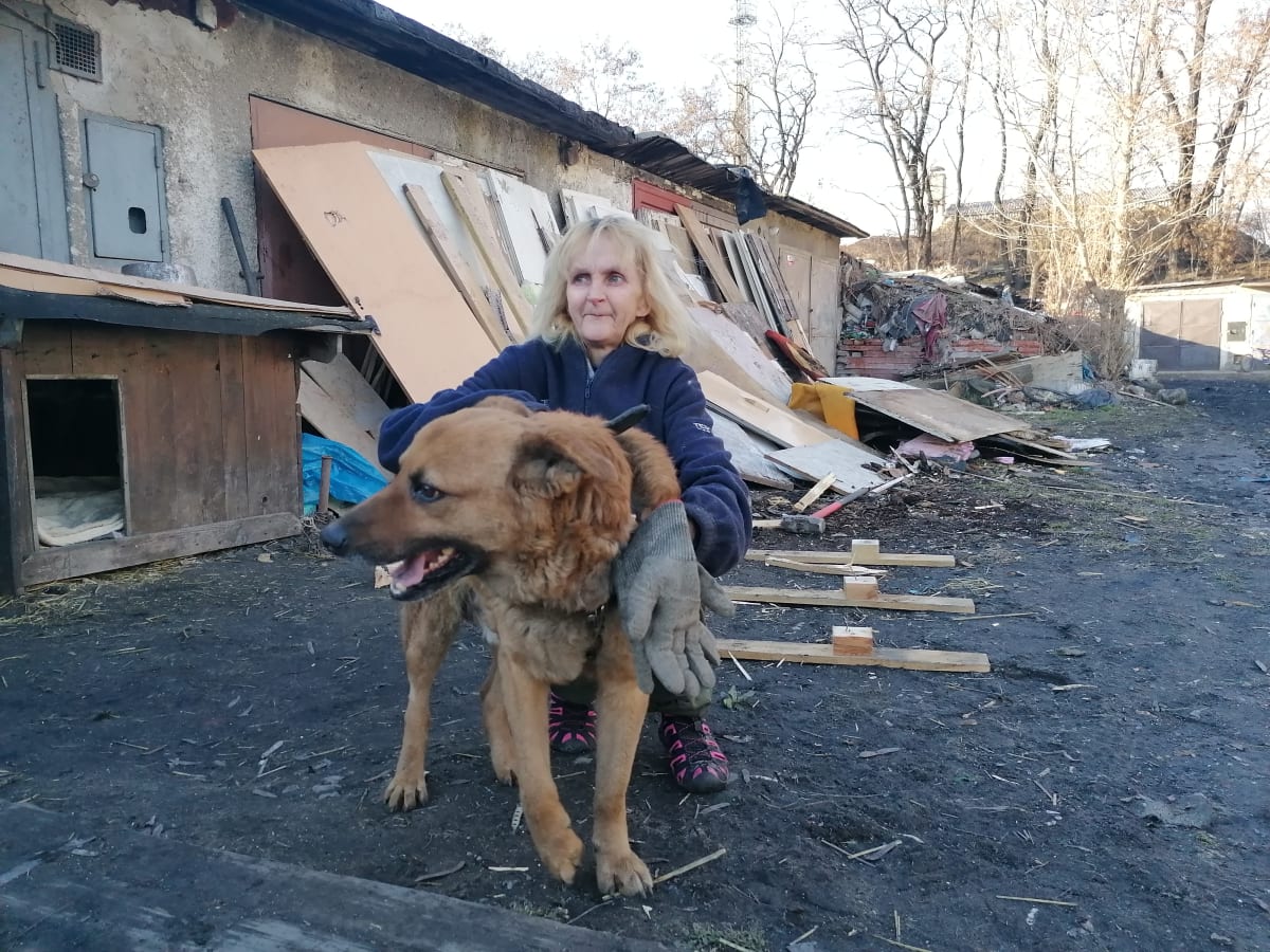 Žena žijící v ostravské garáži se svým psem Rexem. Ten už díky čtenářům CNN Prima NEWS dostal nový domov v podobě psí boudy.
