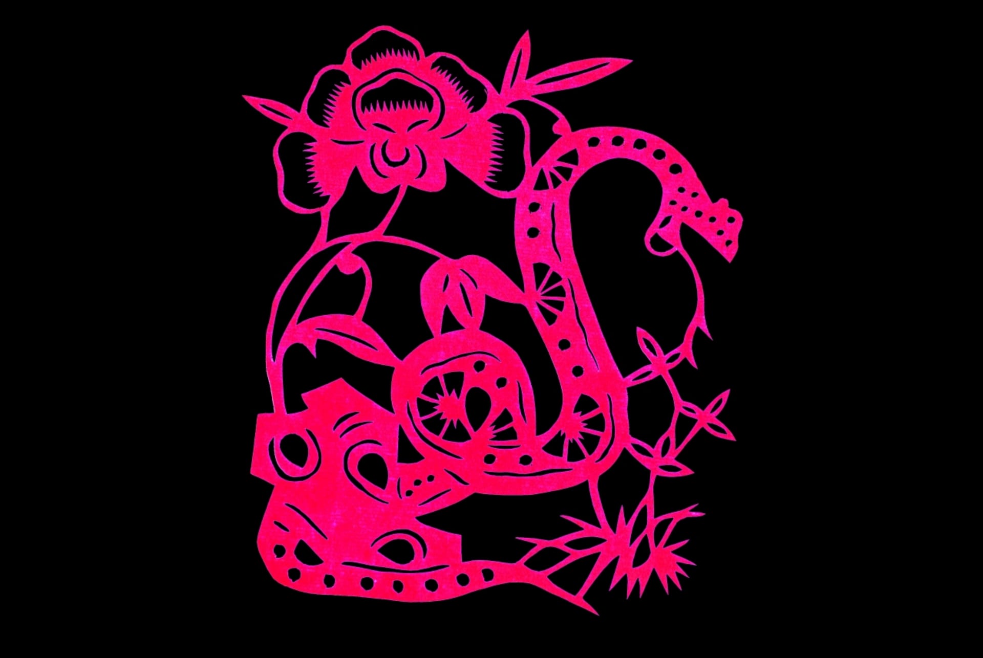 Čínský horoskop znamení Hada