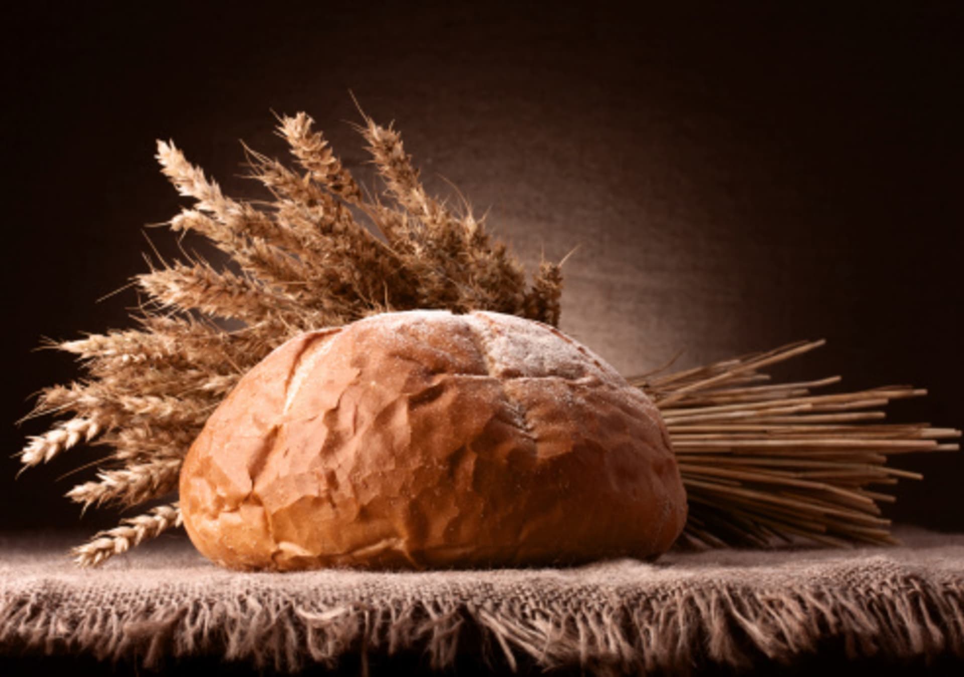 Pšenice má na svědomí i takové nemoci, jako je cukrovka nebo schizofrenie