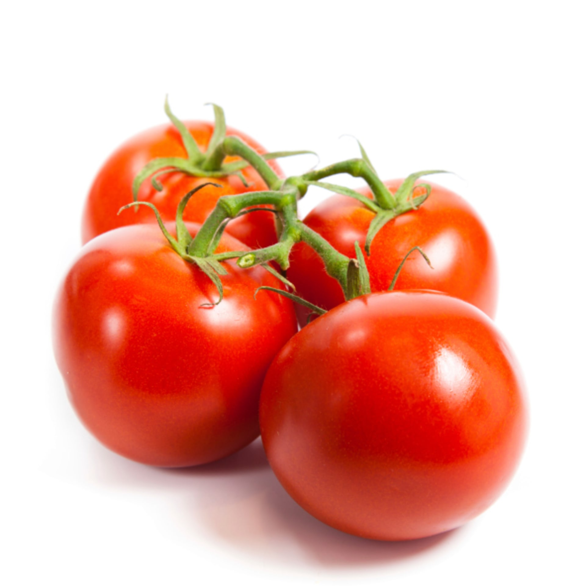 Jídlo lednice rajčata