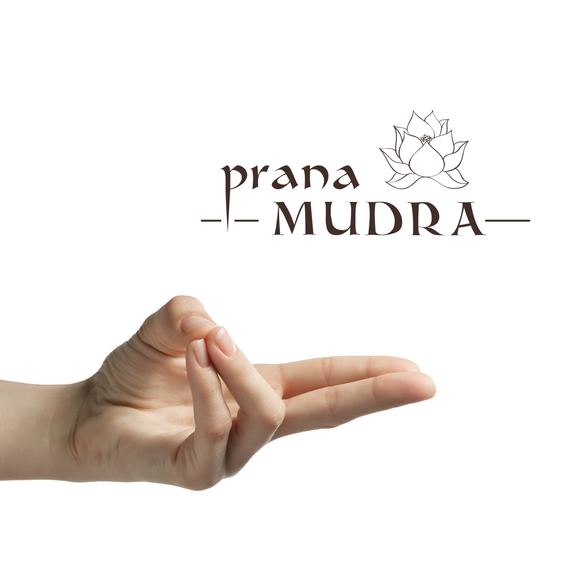 Prana Mudra zvyšuje energii, posiluje mysl, tělo a duši, zlepšuje imunitu a zrak.