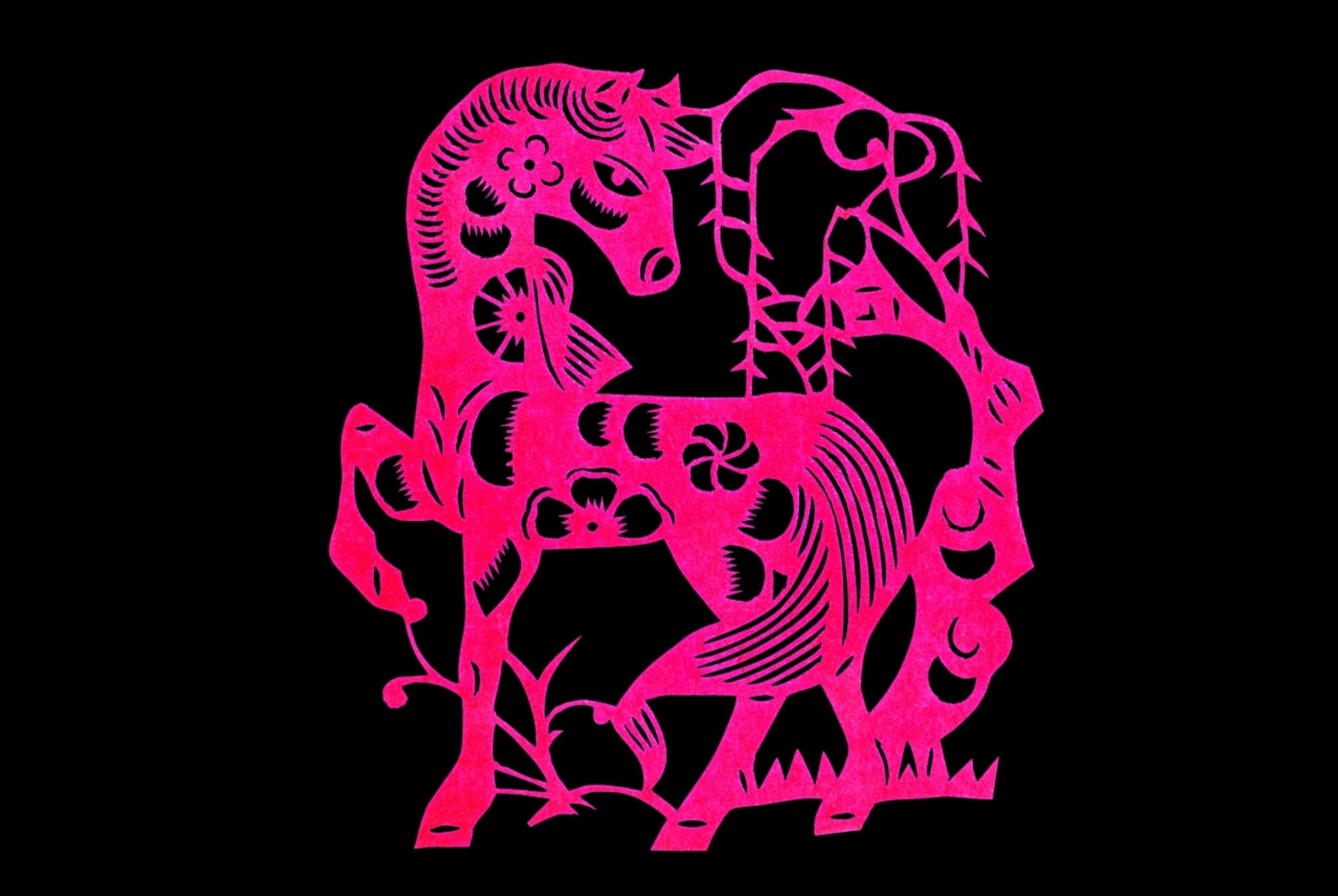 Čínský horoskop znamení Koně