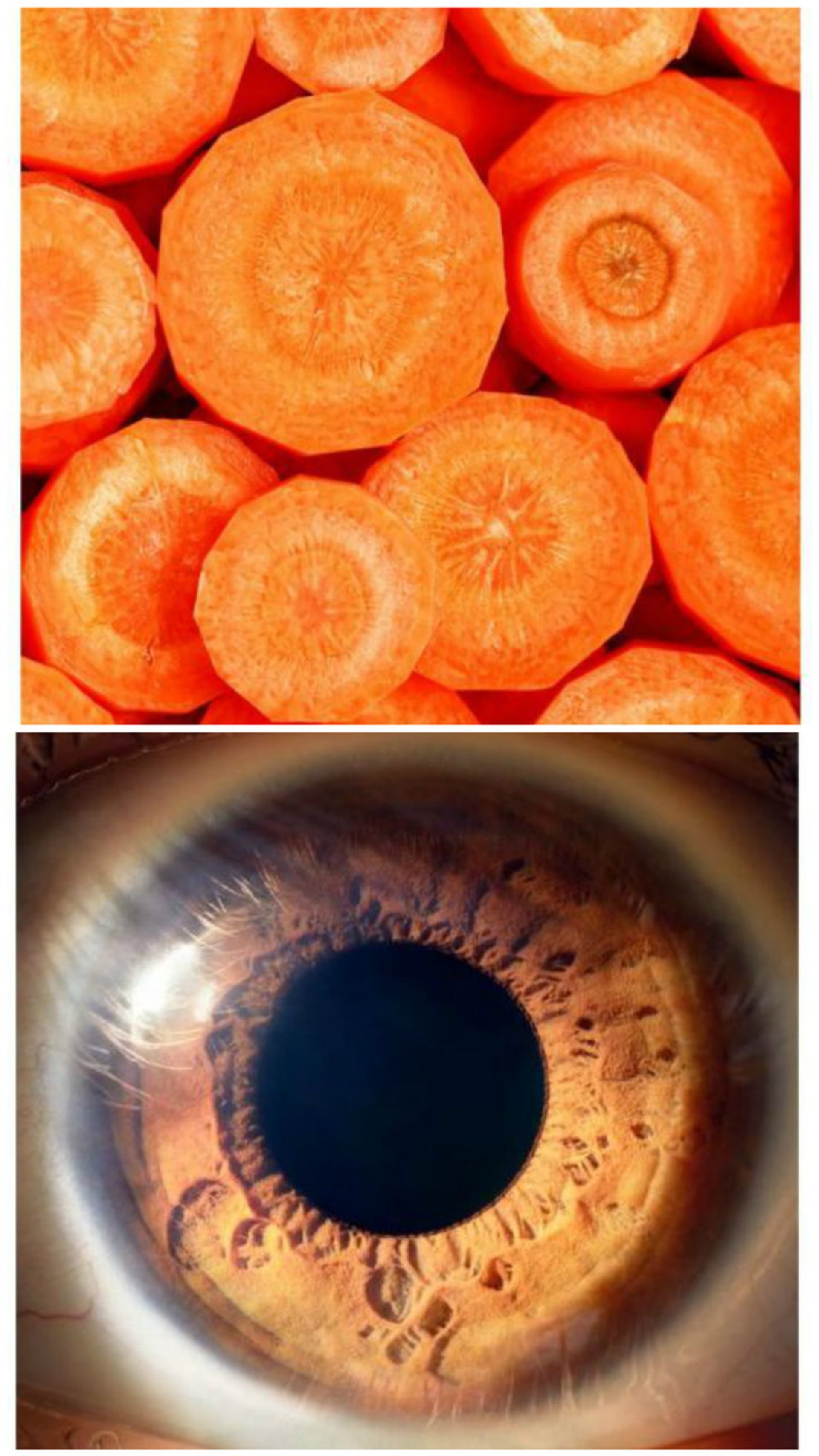 potraviny mrkev-oči