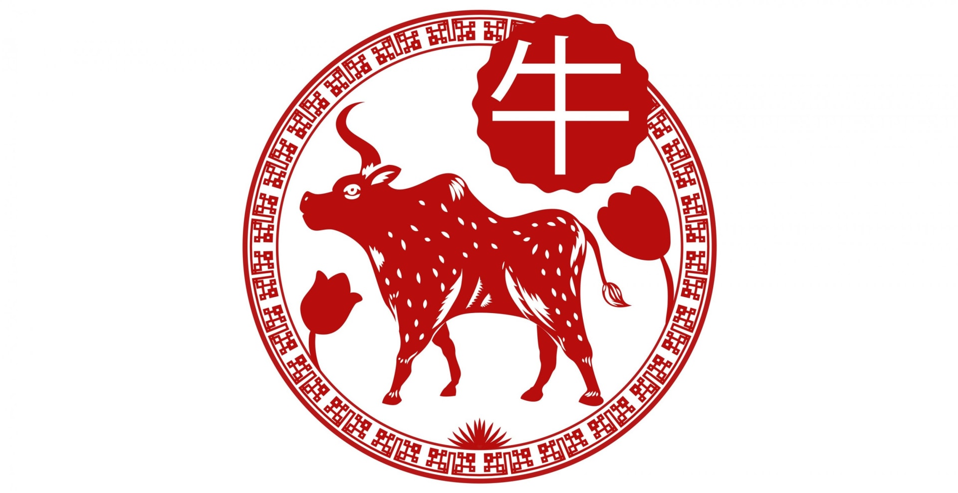 čínský horoskop buvol