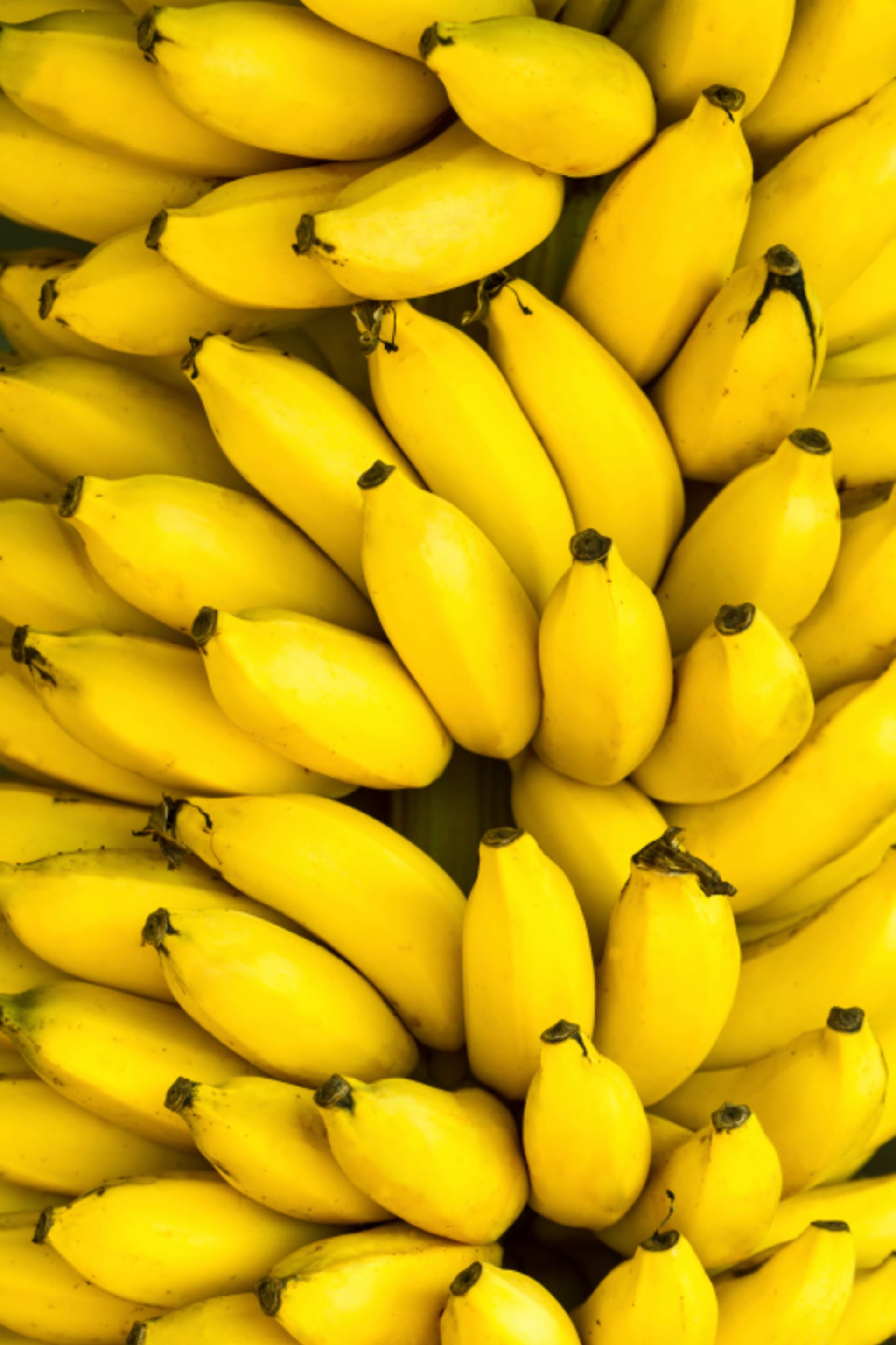Superpotraviny banány