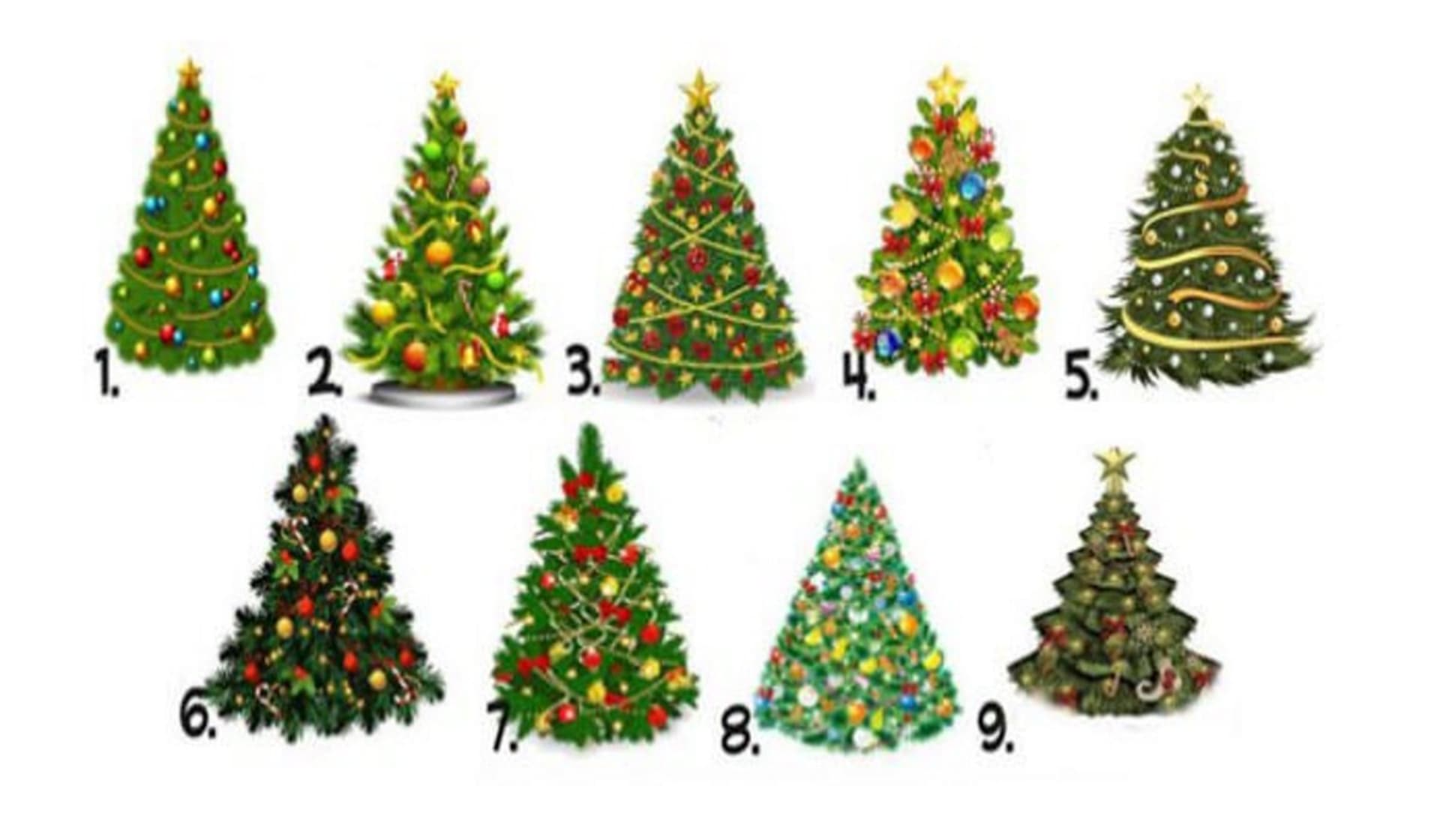 Vánoční test: Vyberte si stromeček a odhalte, jaký bude pro vás rok 2022