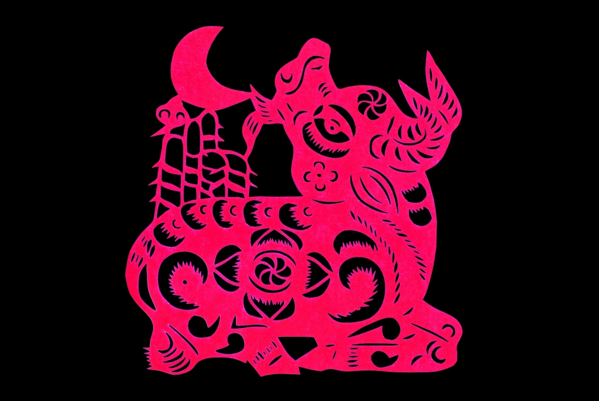 Čínský horoskop znamení Buvola