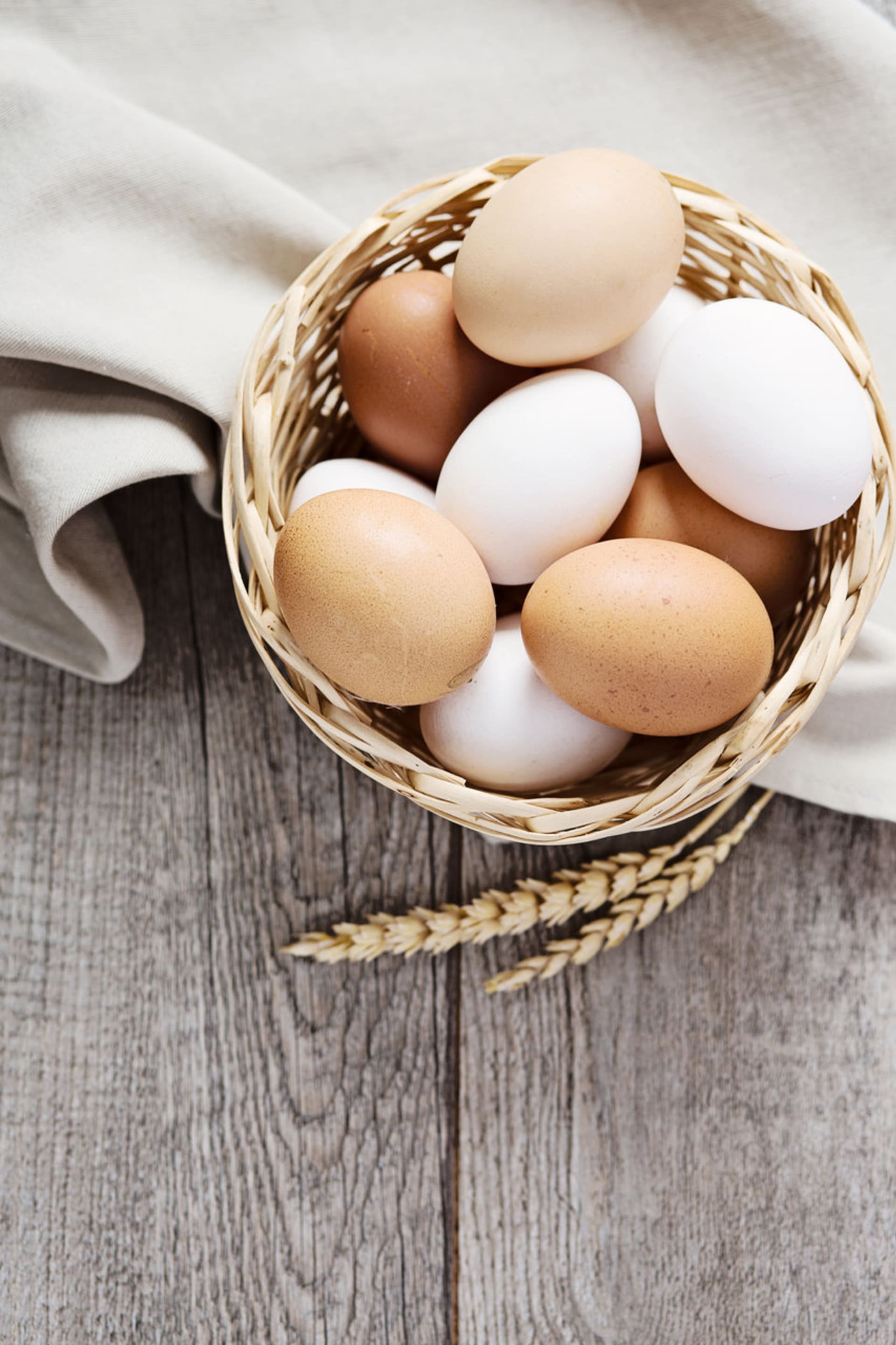 vejce - bílkoviny