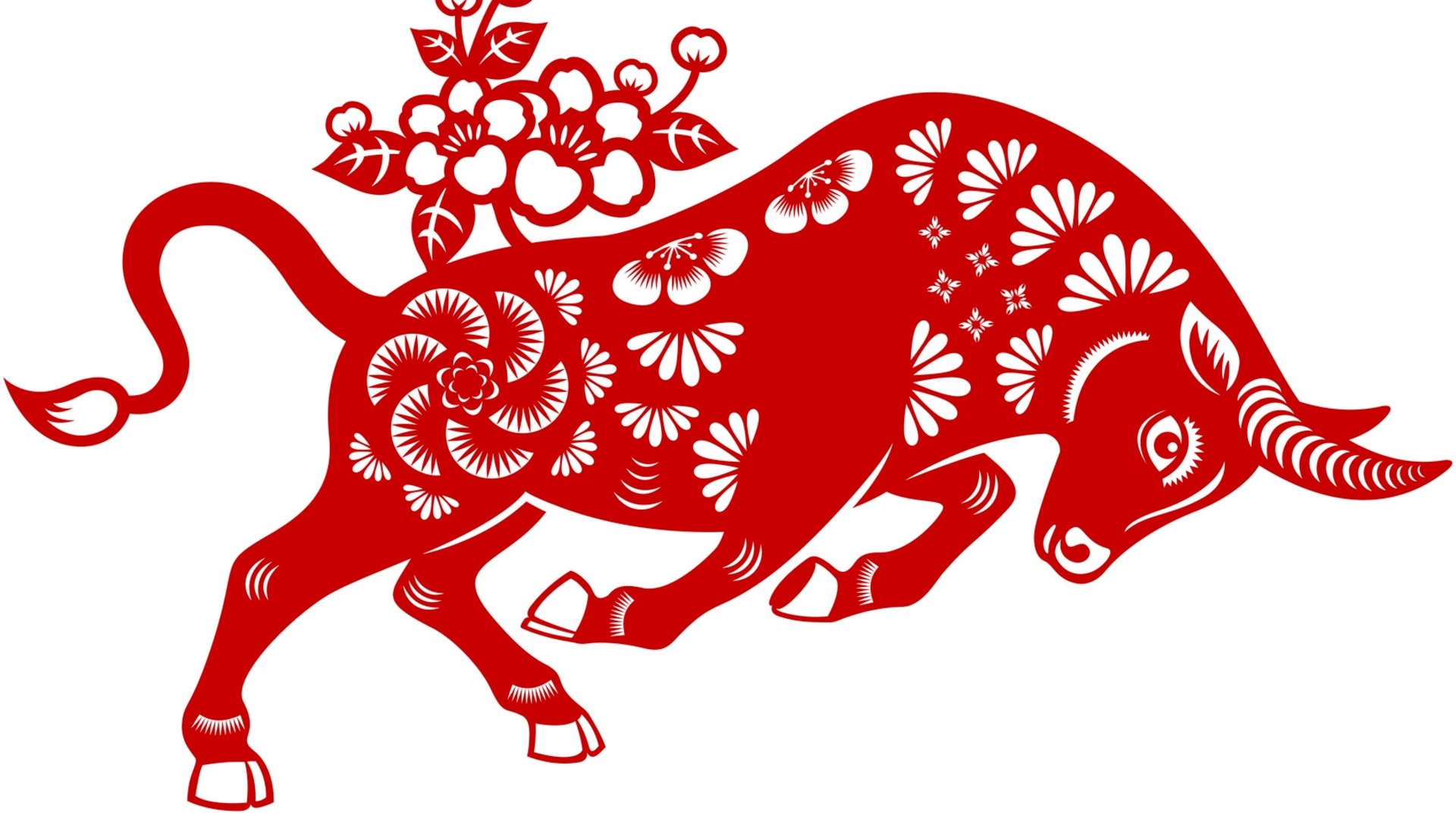 Čínský horoskop – znamení Buvol