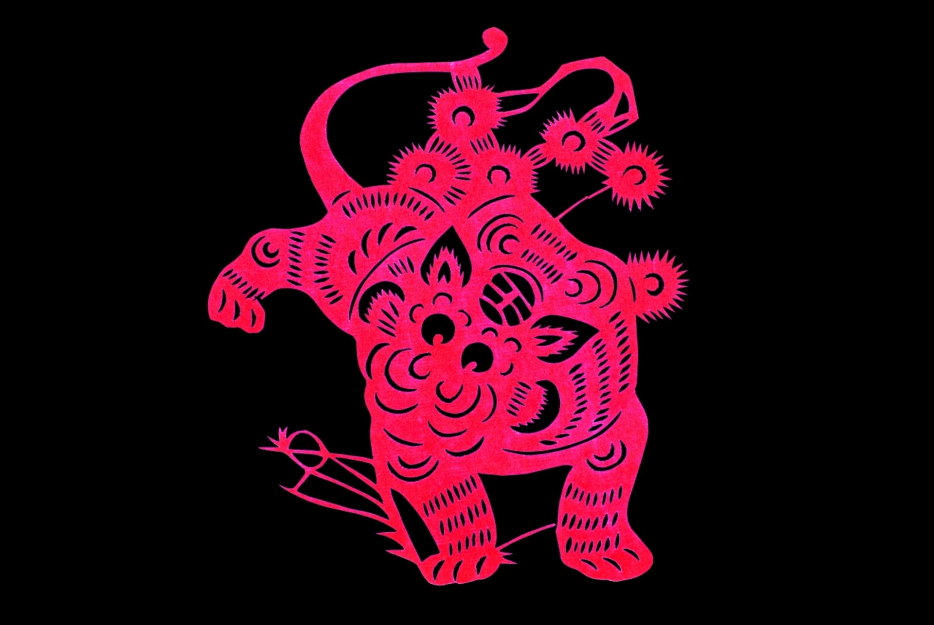 Čínský horoskop znamení Tygra