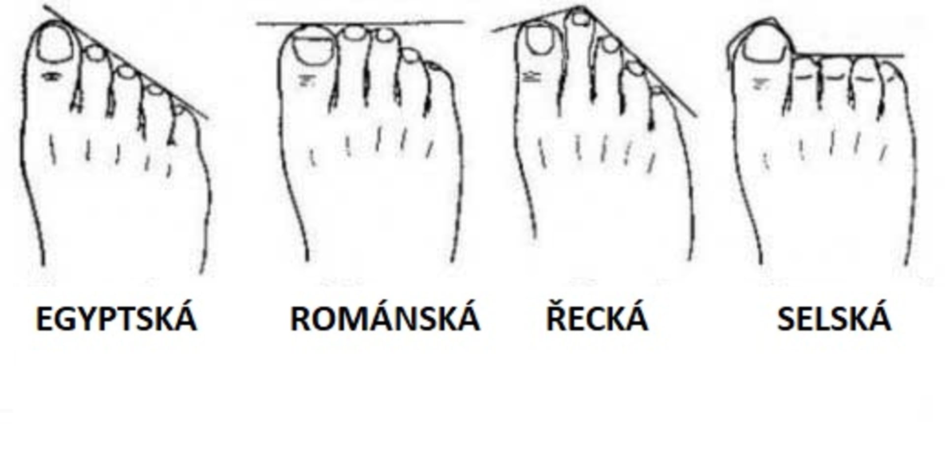 Čtyři typy nohou